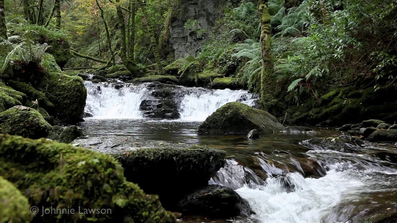 meditation 3d landscape sounds of nature water noises tranquil nature