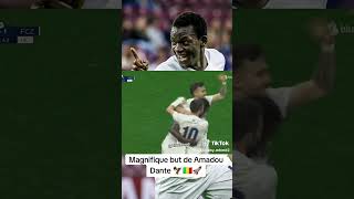 55FeiJSMJvY Video Image