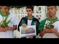 imagen del vídeo escolar