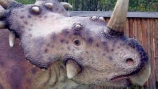 Styracosaurus Roar