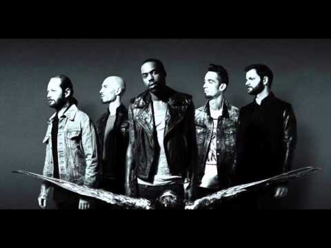 Birds Are Born To Fly Video