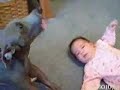 IL BAMBINO PIANGE E IL CANE ....