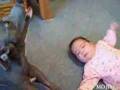 IL BAMBINO PIANGE E IL CANE ....