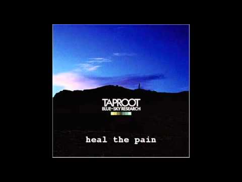 I Will Not Fall For You Video
