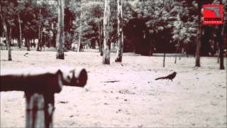 Hit Me | 24 / 04 / 2015 (Original Song)