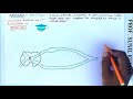 Reflex Action Easy Way Ncert Hindi Reflex Action Easy Way Ncert Hindi