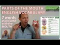 Parts of the Mouth - English Vocabulary