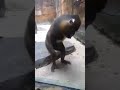 Bokep Terbaru images Bokep Terbaru