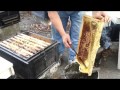飛來蜜養蜂場採蜜過程 飛來蜜養蜂場採蜜過程