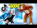 PROVO gli SCHERZI VIRALI di TIK TOK sul MIO CANE! *Pessima Idea*