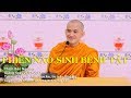 Phiền Não Sinh Bệnh Tật - Thích Bảo Nguyên