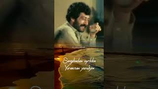Meyhaneci - Müslüm Gürses