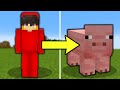 I Pranked My Friend With The Morph Mod! (Minecraft)
