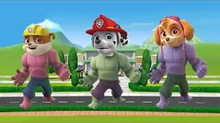 Paw Patrol Transforms Into Hulk Finger Family Song | Hulk as Paw Patrol Nursery Rhymes for Kids