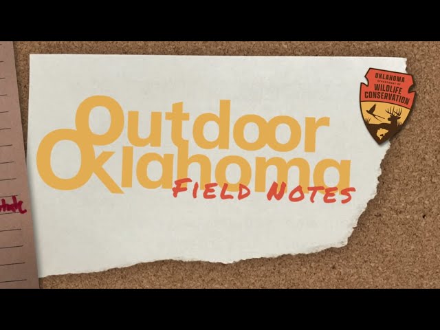 Watch 📒 Field Note: Red-eared Slider on YouTube.