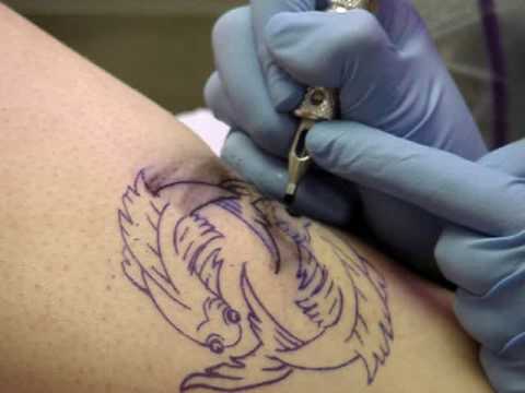 silver fern tattoo. Fern getting her Tattoo