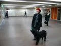 Kiev Subway Dance