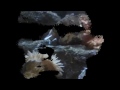 Of Losing Interest Video preview