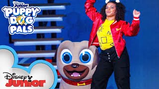 Happy Booty Dance 🐾 | Disney Junior LIVE On Tour Costume Palooza | Puppy Dog Pal