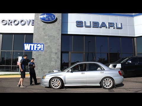 Taking Hondaru to a SUBARU DEALERSHIP for an Oil Change!