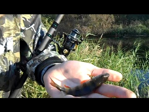 ловля щуки на перетяжку видео ловля щуки на перетяжку видео