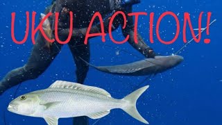 Spearfishing Uku (Jobfish/Snapper) In Hawaii Compilation