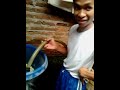 Cara Membuat Toge images Cara Membuat Toge