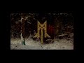Palingenesi Video preview
