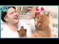 Download Dear My Human 유재환과 뽀뽀 후 경기 일으키는 누렁이! 귀욤 폭발! 171027 EP.7 Dear My Human 유재환과 뽀뽀 후 경기 일으키는 누렁이! 귀욤 폭발! 171027 EP.7