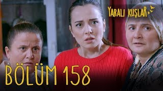 Yaralı Kuşlar 158. Bölüm