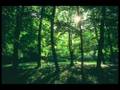 Biome Subarctic And Boreal Area | RM. Biome Subarctic And Boreal Area | RM.
