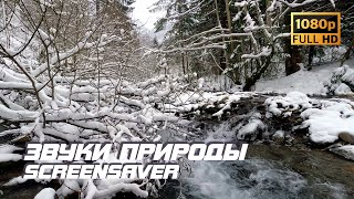 Живая Природа - Зимняя Река | Звуки Природы | Звуки Реки | Шум Воды | Релакс | Антистресс | Заставка