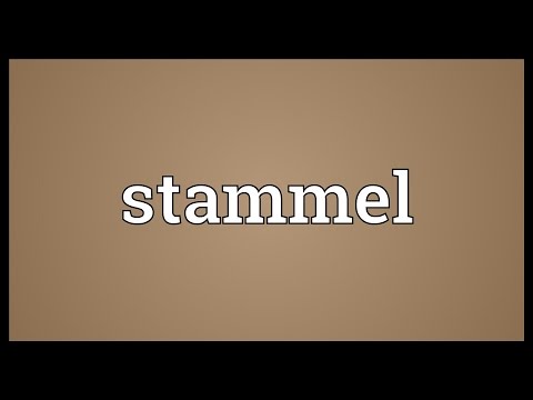 Header of stammel