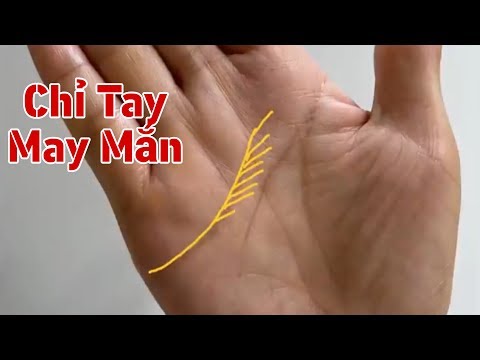 🔴 Xem Chỉ Tay - Đường Chỉ Tay Phụ Nữ May Mắn.
