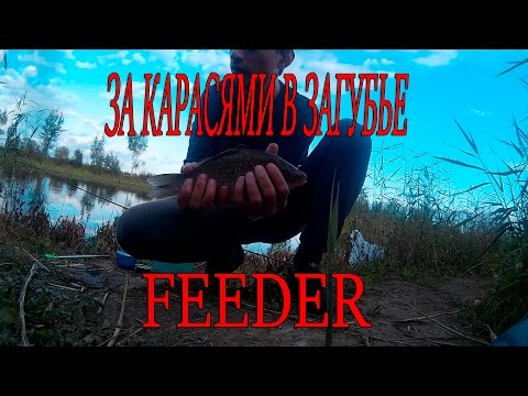 рыбалка в загубье 2016 питерский клуб рыбаков рыбалка в загубье 2016 питерский клуб рыбаков
