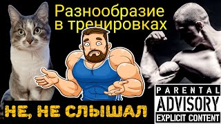 Голодный Барсик | Разнообразие В Тренировках