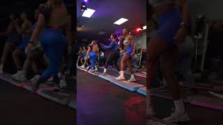 Bleu Stepper Maintenant Disponible À Lachat Cliquez Sur Le Lien Du Produit ...