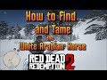 RDR2 - How to Find and Tame the White Arabian Horse