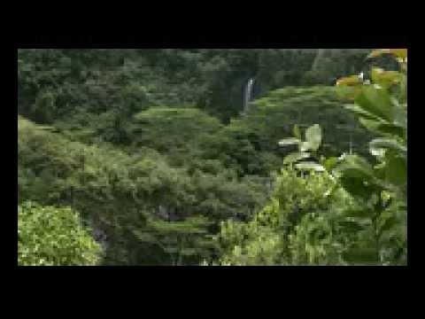 Karunesh: Meditation 1