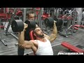 shoulder