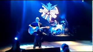 Watch Animal Buscando Llegar Hasta El Sol video