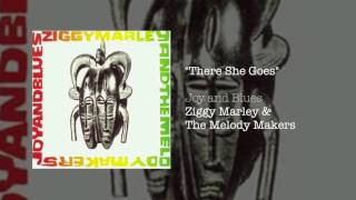 Watch Ziggy Marley There She Goes video
