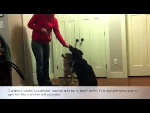 Stop dog barking at the door - YouTube