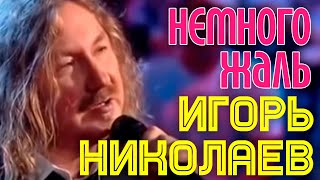 Игорь Николаев - Немного Жаль