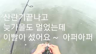 쏘가리낚시(비온뒤 맑은물 합수머리 천에서)