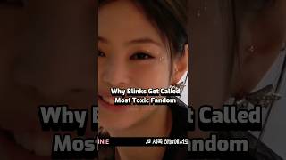 Why Blinks Get Called Most Toxic Fandom...?