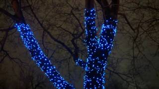 Видео Площадь Ильинские Ворота от Елена Шахова, площадь Ильинские ворота, Москва, Россия