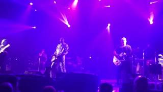 Watch Groovy Aardvark Wide video