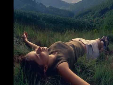 Purify Video
