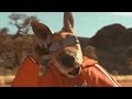 The entire Kangaroo Jack movie but it is just kangaroos